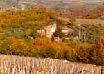 Podere San Cresci